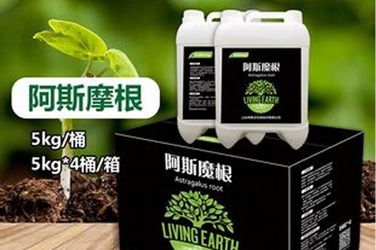 什么肥料壮根养根生根效果好