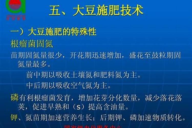 大豆复合种植如何进行合理施肥