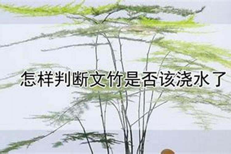 西瓜叶子发黄是怎么回事,用什么药？