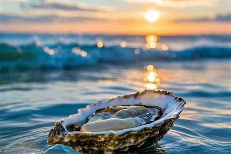 生蚝壳做成肥料方法