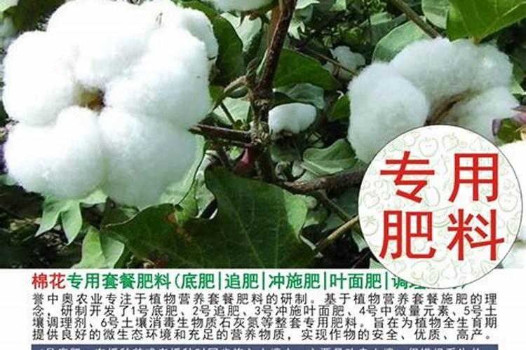 隆科复合肥适合种什么作物