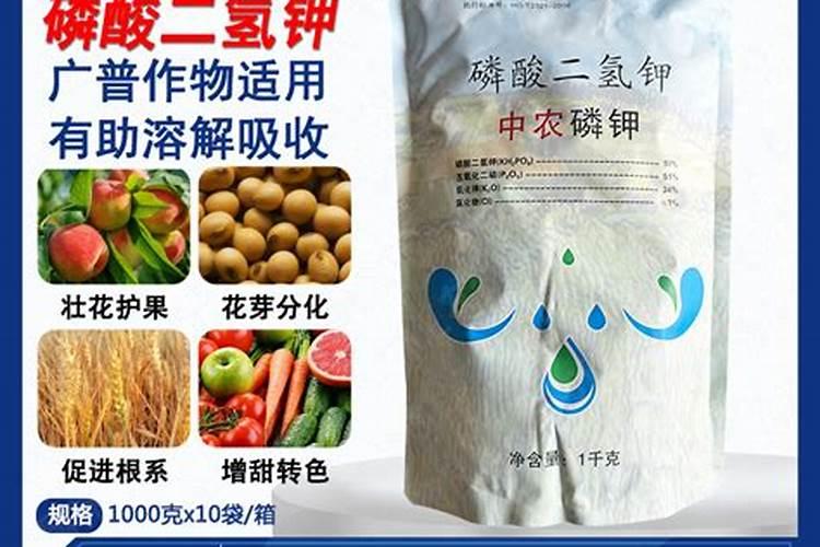 桉木芯指接板的优缺点