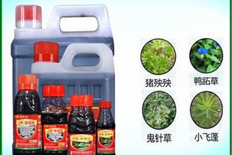 锌肥的使用禁忌有哪些？如何正确选择锌肥