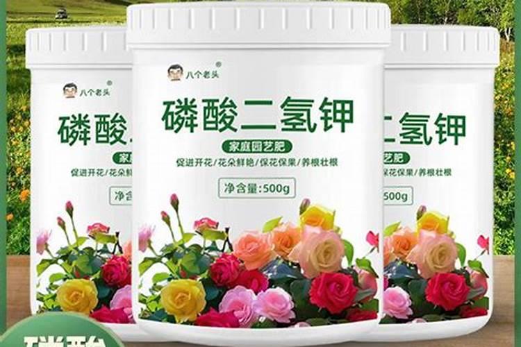 四川叶面肥农药厂家10强有哪些