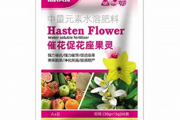 小麦后期打什么药