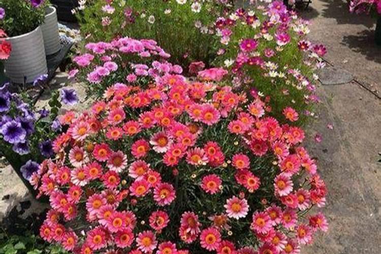 恶魔之眼艾肯泉,官方和民间截然不同的两个说法,你信谁？