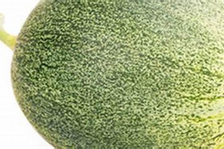 甜瓜喷花后多长时间可以打药