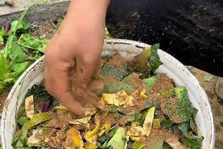 树叶,菜叶作肥料怎么发酵？