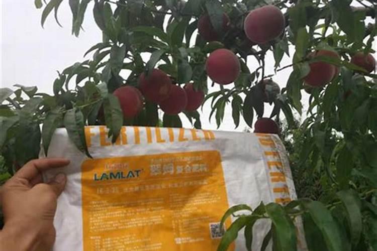 磷肥对植物的作用与功效,常见磷肥种类及施用技术
