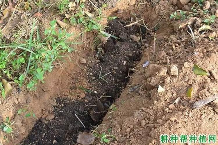 农家肥、化肥,哪个好？