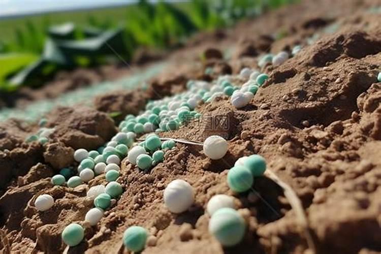 杨树施肥是尿素好还是复合肥好