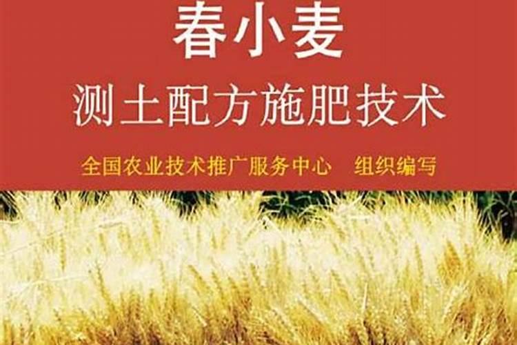 小麦增产秘诀选对水溶肥,产量提升不是梦