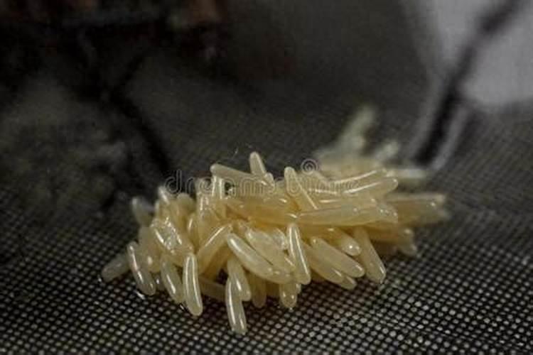 氮肥可溶于水吗