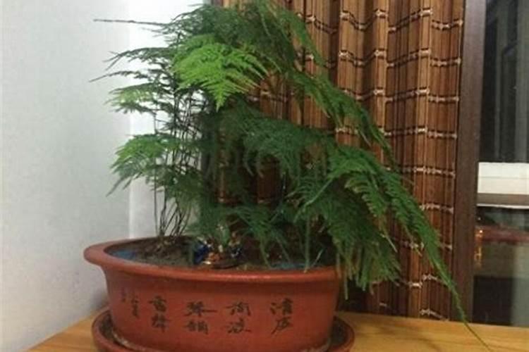 韭菜有几种吃法