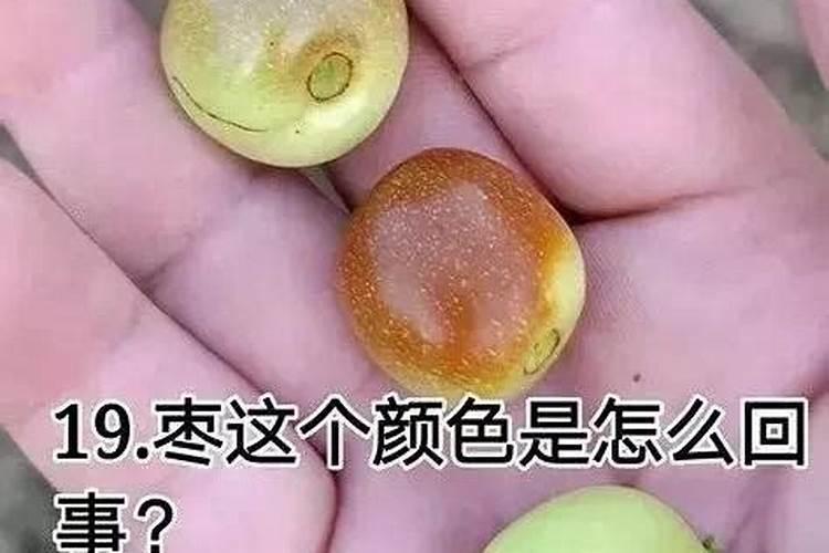 如何计算山地果园灌溉水管长度