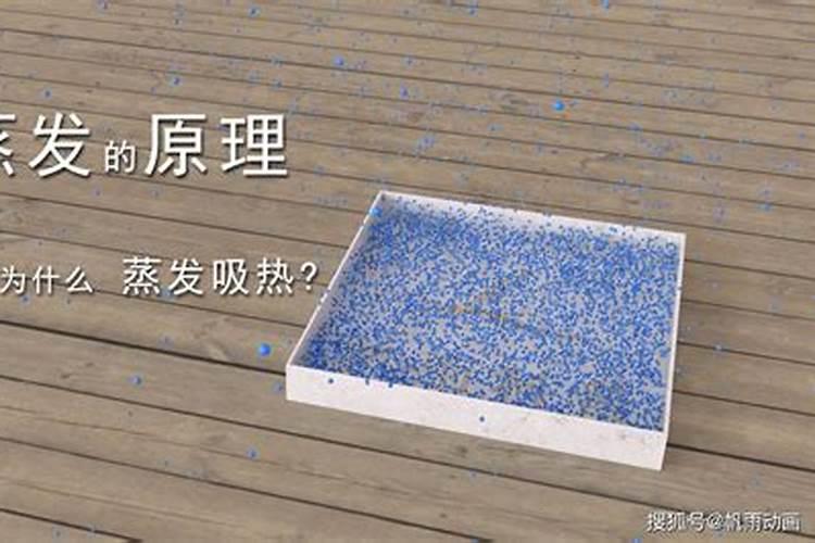 氮肥养花一克用多少水兑