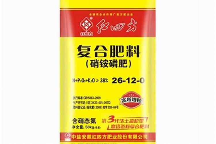 布里奶酪什么味道