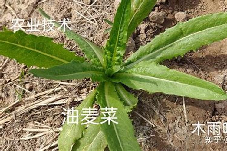 加盟沪上阿姨挣钱么吗,加盟沪上阿姨