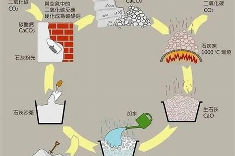 金弹子用什么肥料最好