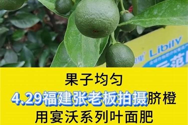 海藻肥的施用方法 注意事项有哪些