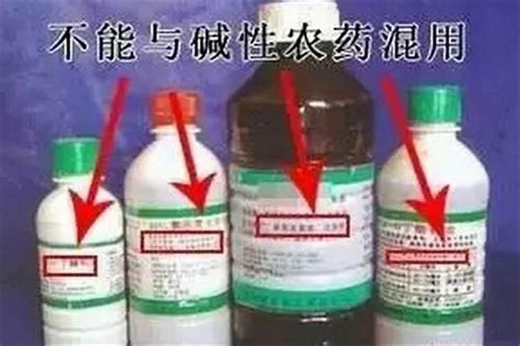 国内泥浆泵十 大品牌？