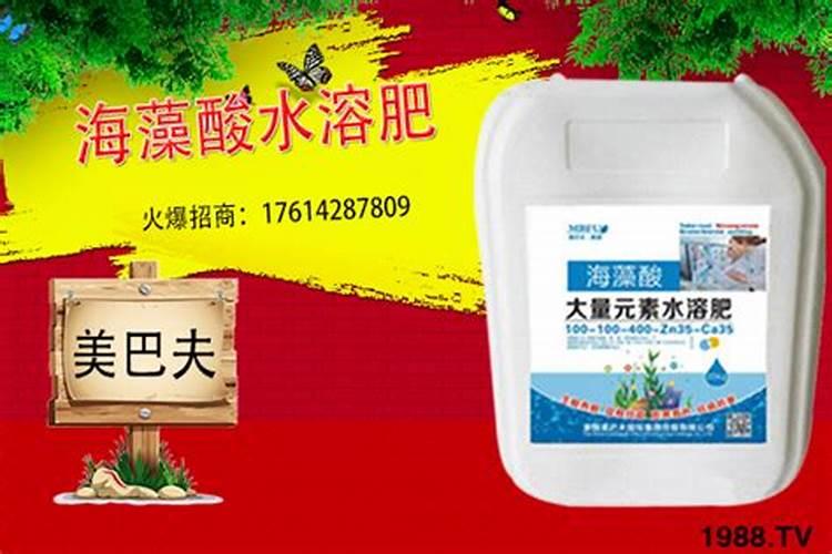 哪里能买到正品百倍邦海藻肥