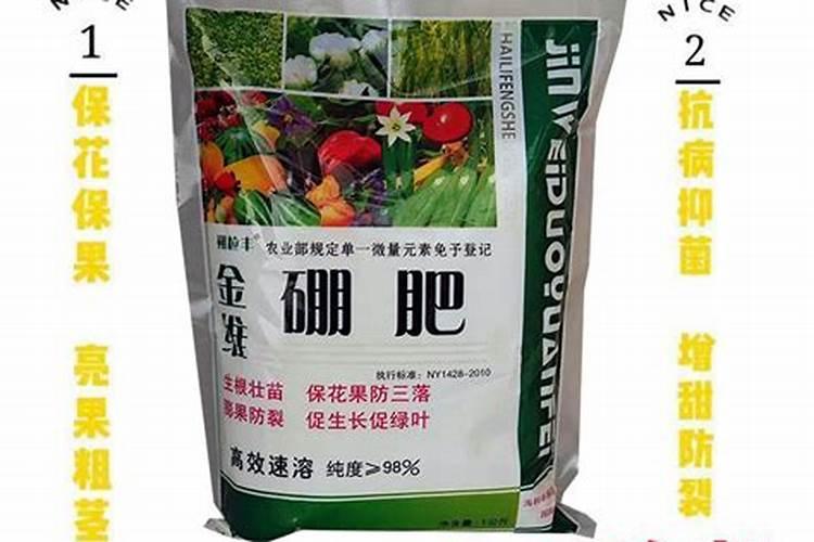 20公斤硼肥价格是多少