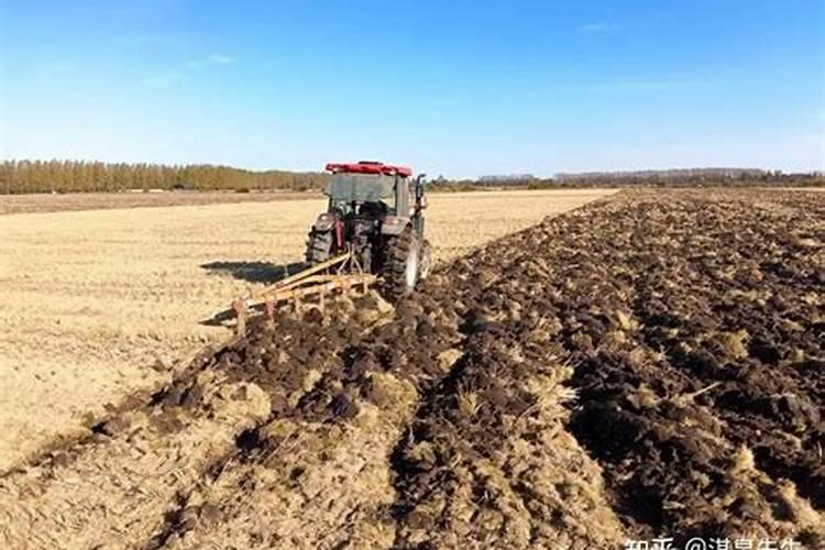 益施帮不能和什么一起打,益施帮叶面肥的作用