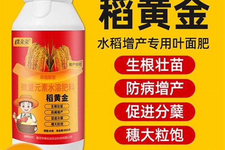 黑龙江省2025年种水稻用啥叶面肥效果好