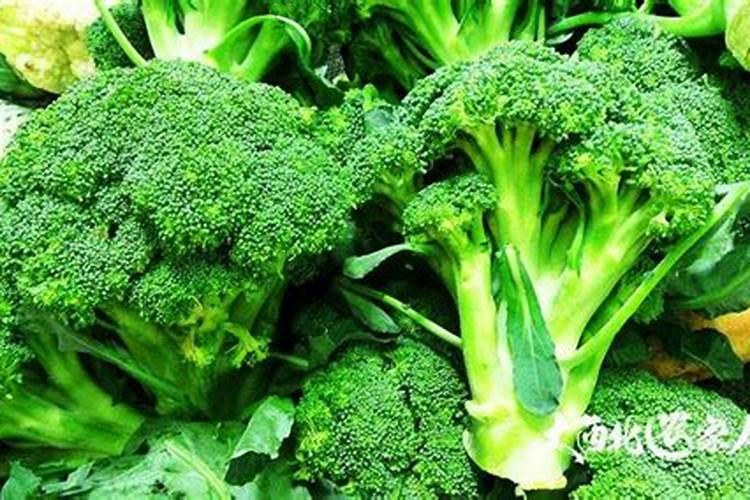 喜硕海藻肥的使用方法