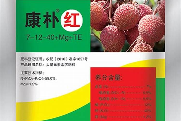 康朴春和康朴绿的区别
