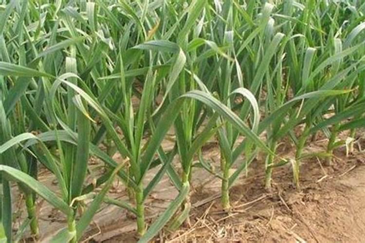 有没有叫董文宇这个名字的啊