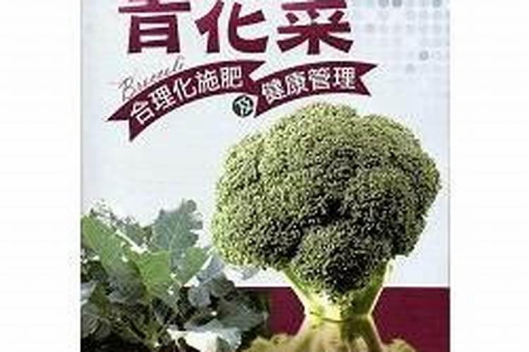 青花菜田间管理 青花菜怎么养殖好