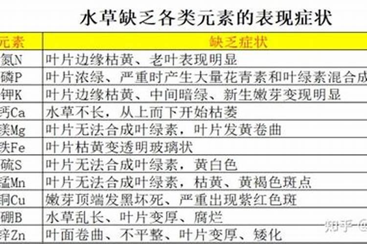 家养花施什么肥料;花怎么施肥长得好