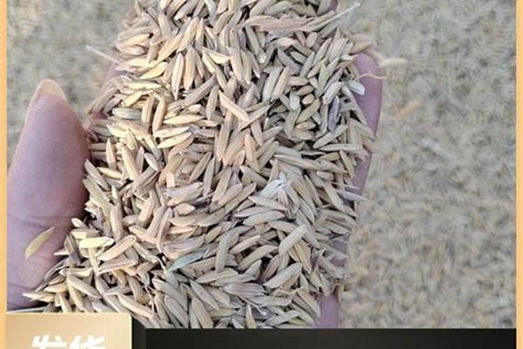 水稻肥多少钱一吨