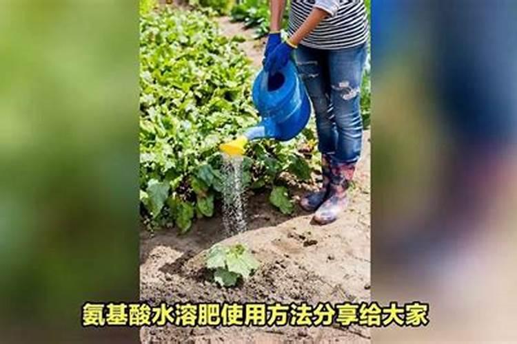什么叫氨基酸水溶肥,含氨基酸水溶肥原料分析