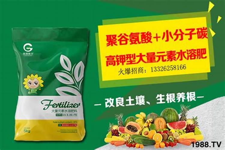 蔷薇黄叶的原因和处理办法