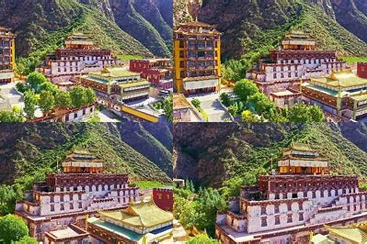 百奥植含腐植酸水溶肥料多少钱10升