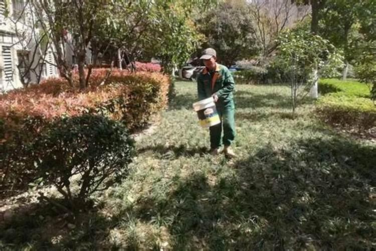有哪些防治稻瘟病的特效药