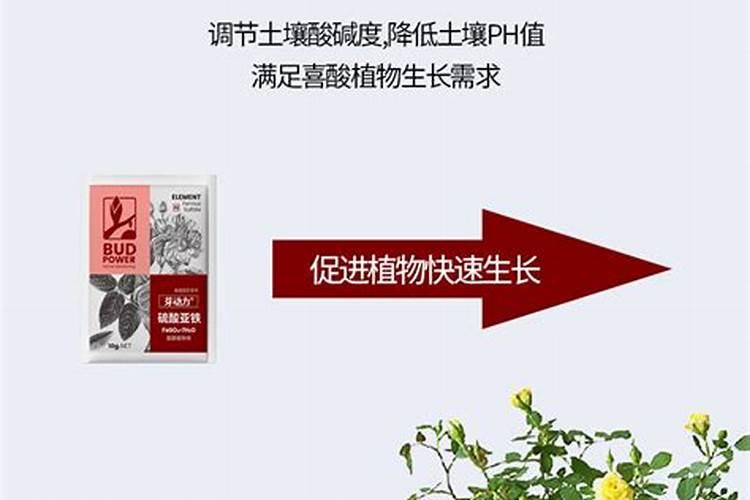 钾明矾和水溶肥能合用吗