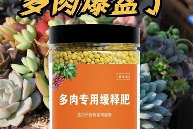 山东佐田氏生物科技有限公司怎么样？