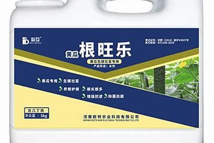 水稻什么时候喷施叶面肥最佳