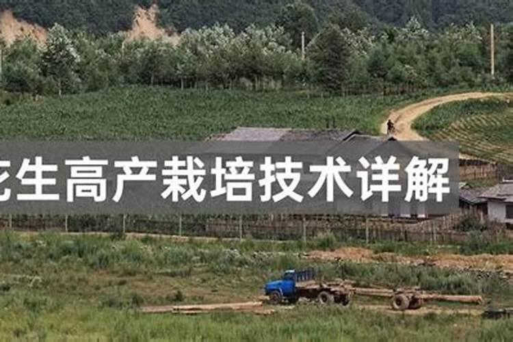 正确使用喜来宝的具体步骤是啥