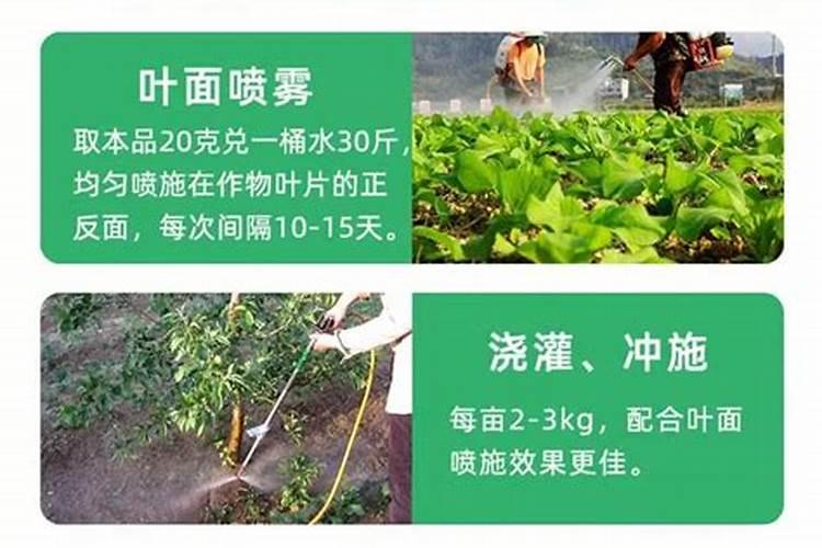 水溶肥什么品牌好？