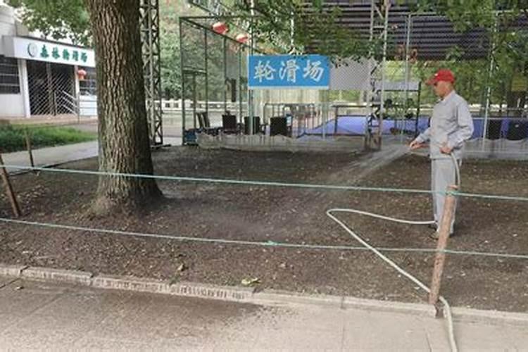 山药有哪些营养成分
