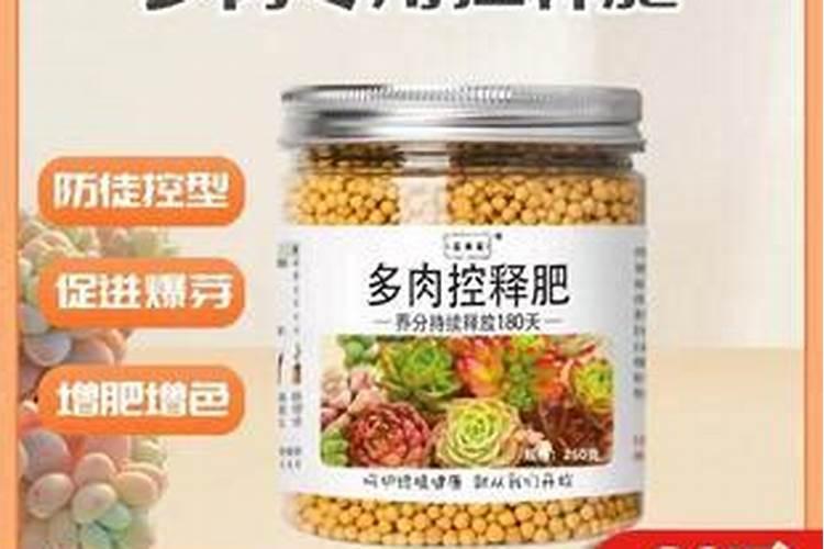 多肉植物催大肥料的配方是什么