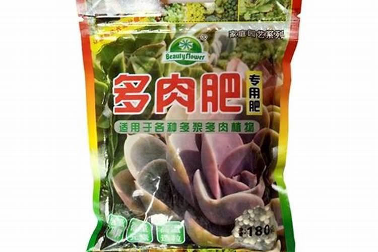 多肉植物施什么肥长得快