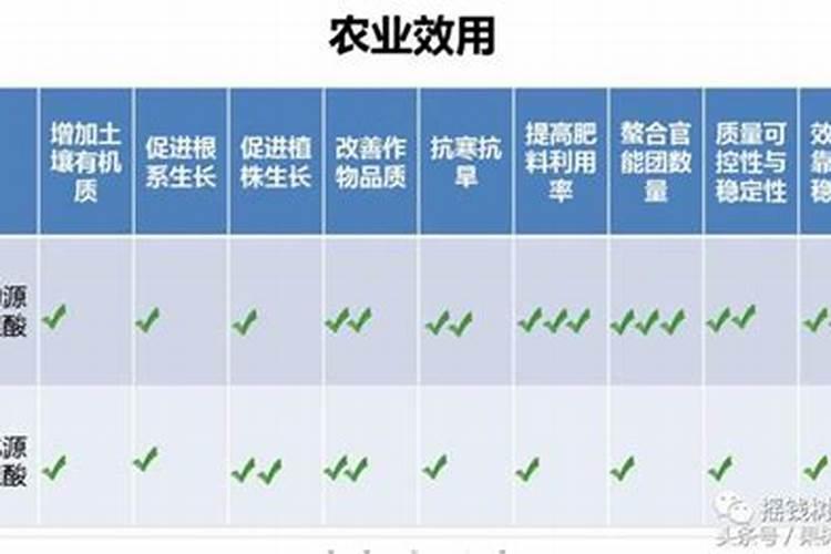 腐殖酸专用菌种