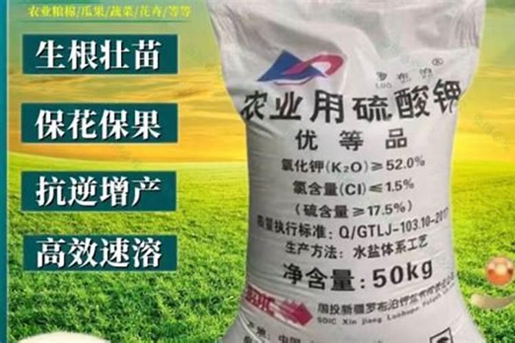 亚磷酸钾控旺用量是多少