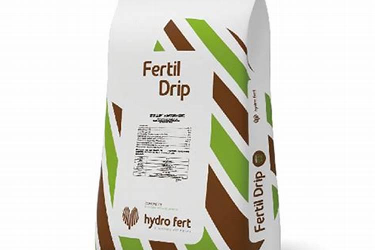 杂志里面英文常用什么字体